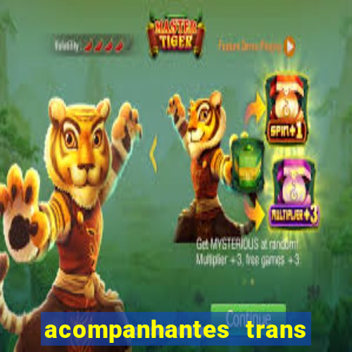 acompanhantes trans santos sp